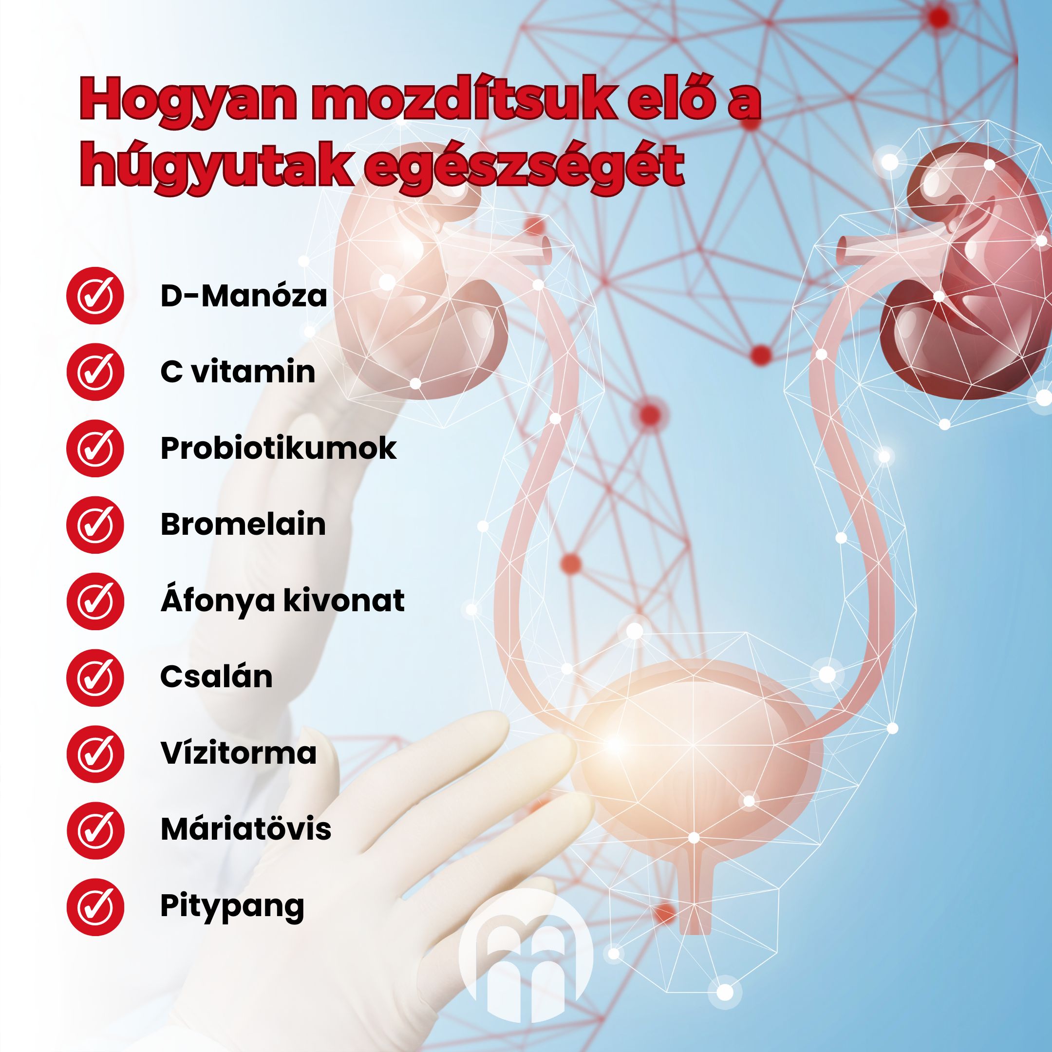 (Maďarština) Jak podpořit zdraví  močových cest